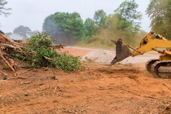 Ground Clearing in Loveland