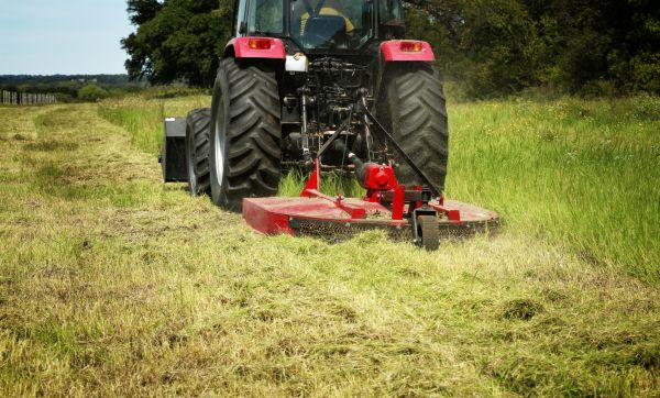 Brush Clearing Service in Loveland