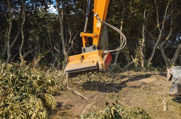 Brush Removal Service in Loveland