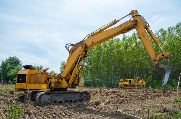 Farm Clearing in Loveland