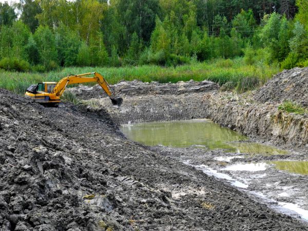 Cost of Lake Lot Clearing in Loveland