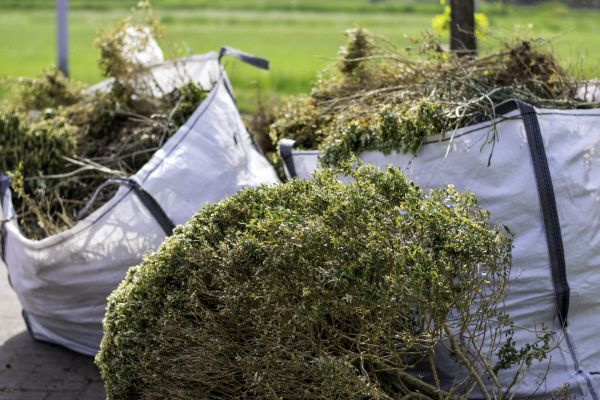 Bushes Clearing in Loveland