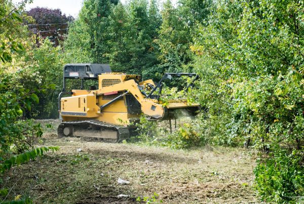Cost of Pathway Clearing in Loveland