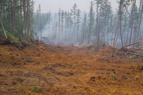 Cost of Hill Clearing in Loveland