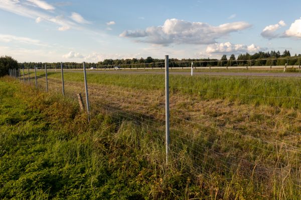 Property Line Clearing in Loveland