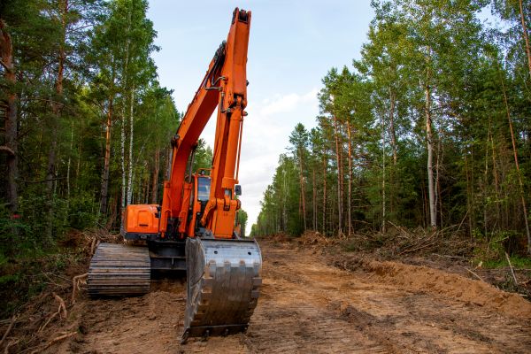 Backhoe Land Clearing in Loveland